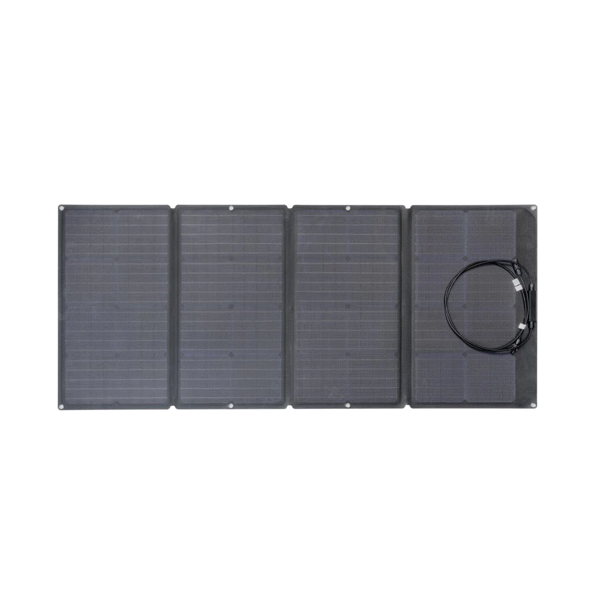 EcoFlow 160W Solar-Energie Panel faltbar