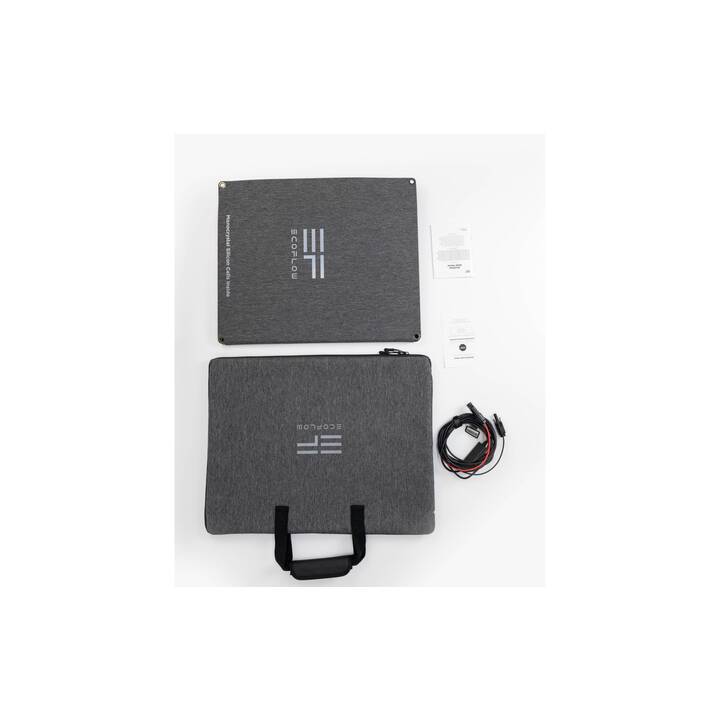202975_2 EcoFlow Solar Panel faltbar 110 W