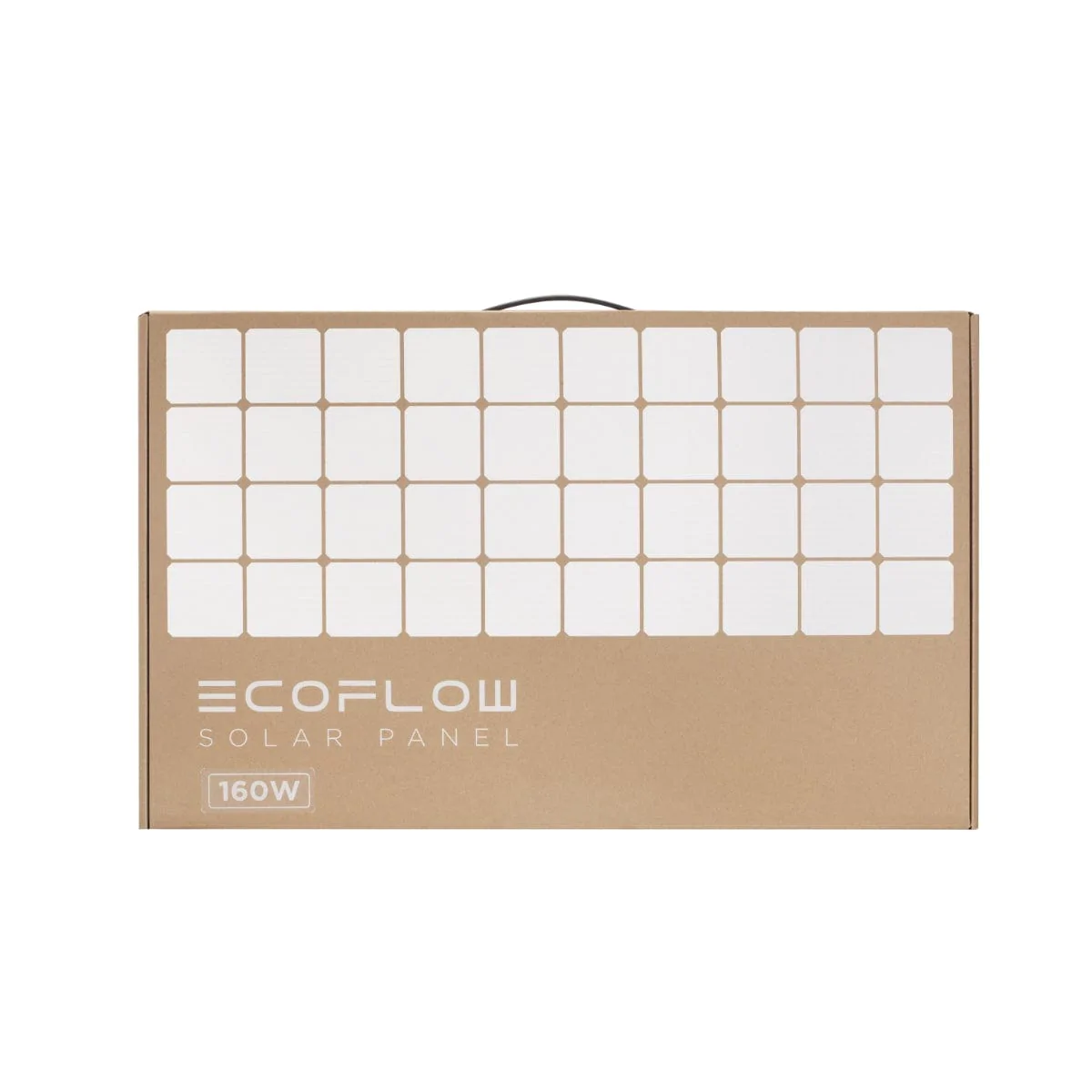EcoFlow 160W Solar-Energie Panel faltbar