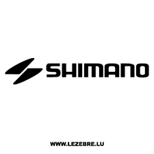 SHIMANO Gepäckträgerakku STEPS BT-E6001 36V/14Ah(504 Wh) schwarz
