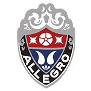 Allegro 48V 14Ah Rahmen Akku